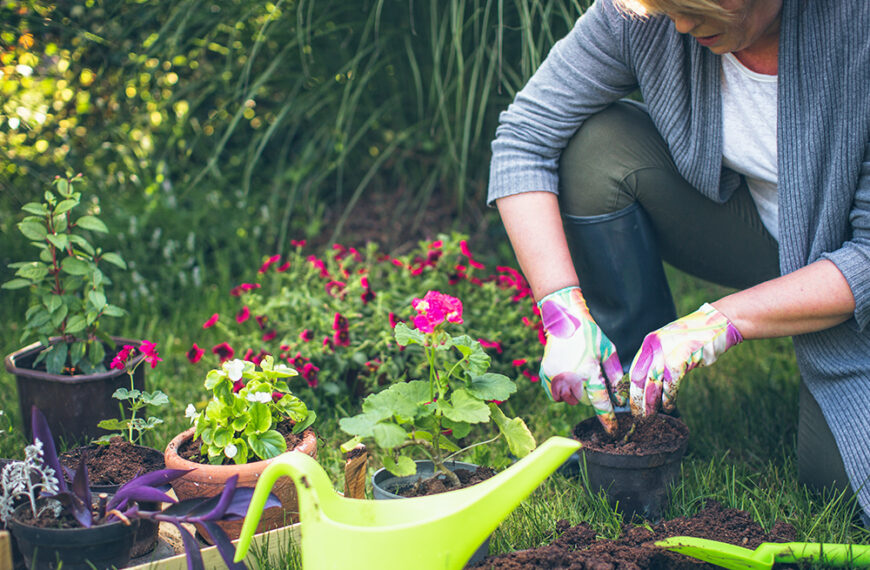 Gardening