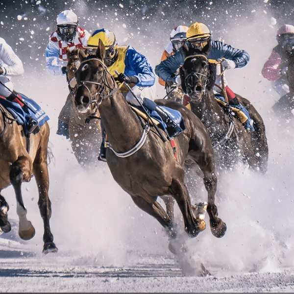 Galloping into Glory: Make the Most of the New Horse Racing Season with Insider Tips and Tricks