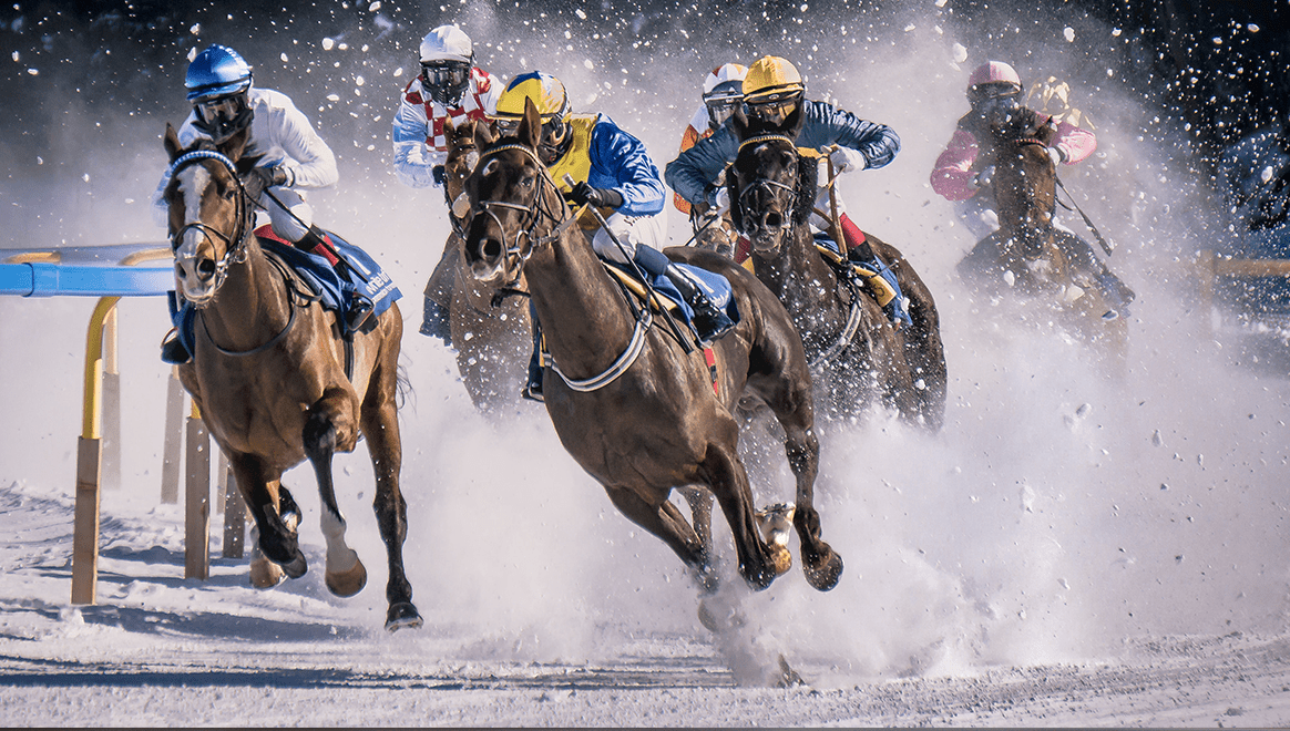 Real-time-horse-racing