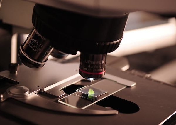 Navigating Clinical Trial Management – Key Considerations