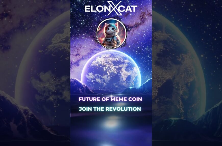 elonxcat