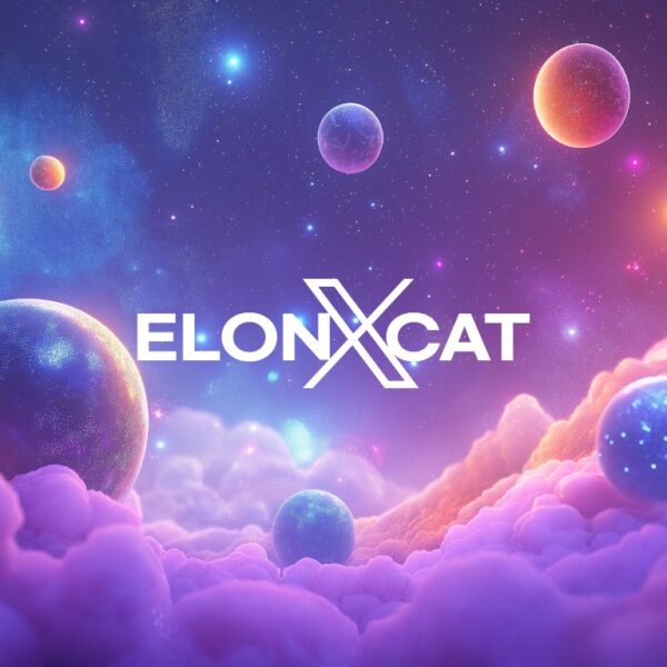 Explore the Future of Space with ELONXCAT: Supporting SpaceX and Elon Musk’s Bold Goals