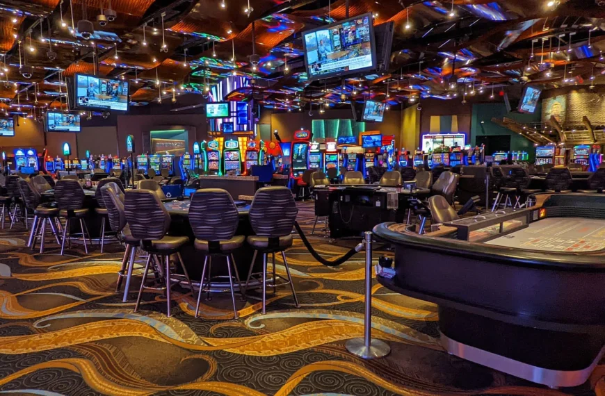 Slot Games with the Highest Payout Percentages